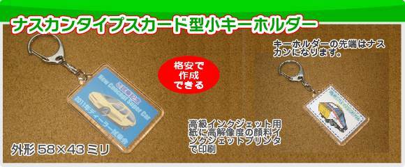 ナスカンタイプカード型小キーホルダーの写真