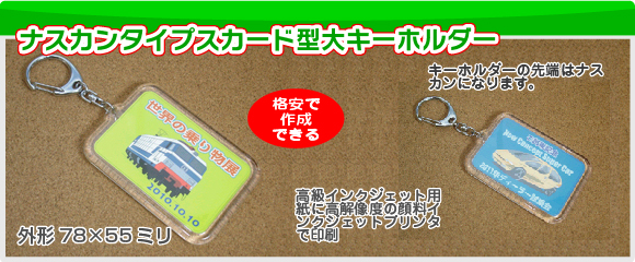 ナスカンタイプカード型大キーホルダーの写真