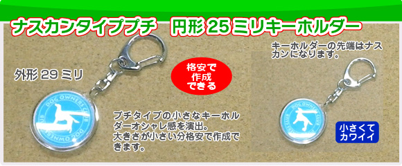 ハメパチプチアクリル円形キーホルダーの写真