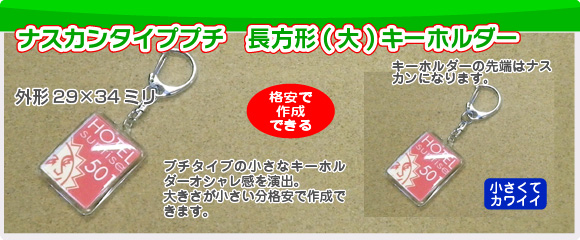 ハメパチプチアクリル長方形(大)キーホルダーの写真